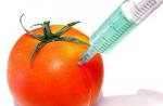 ГМО — что это такое Какие продукты не гмо